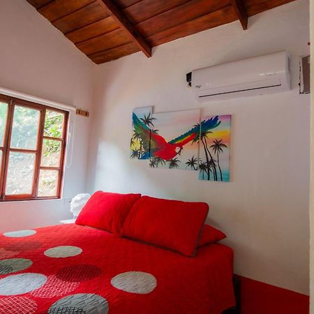 Selva Color - Forest & Beach Ecolodge Quebrada Ganado Номер фото