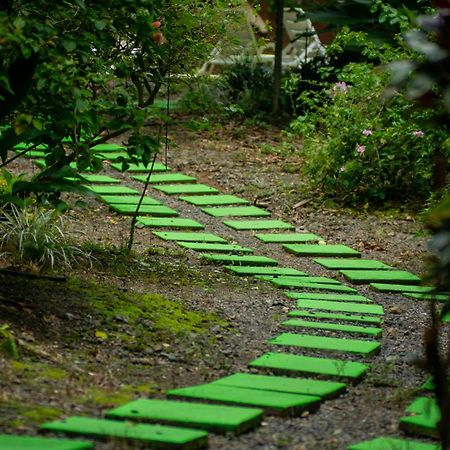 Selva Color - Forest & Beach Ecolodge Quebrada Ganado Екстер'єр фото