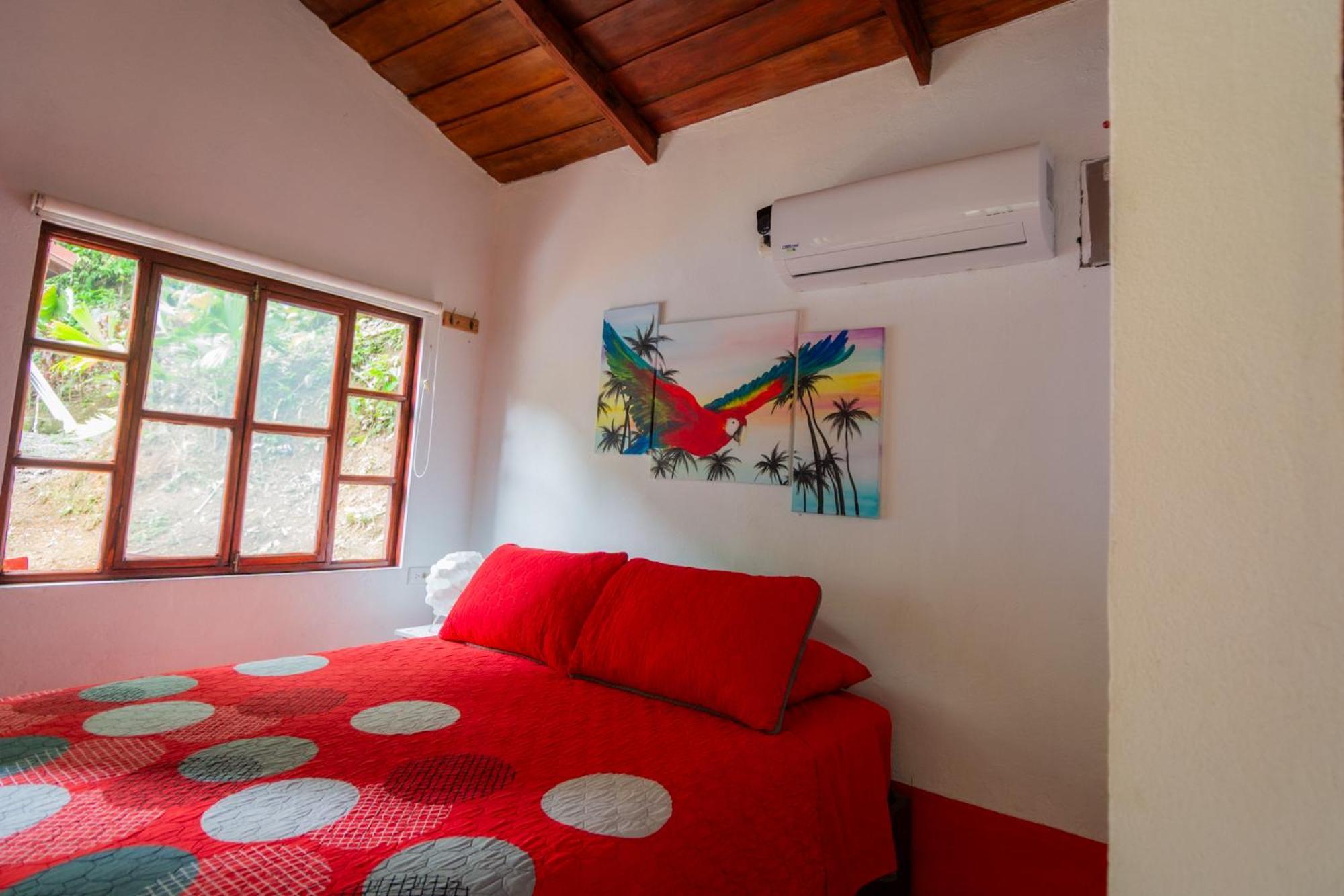 Selva Color - Forest & Beach Ecolodge Quebrada Ganado Номер фото