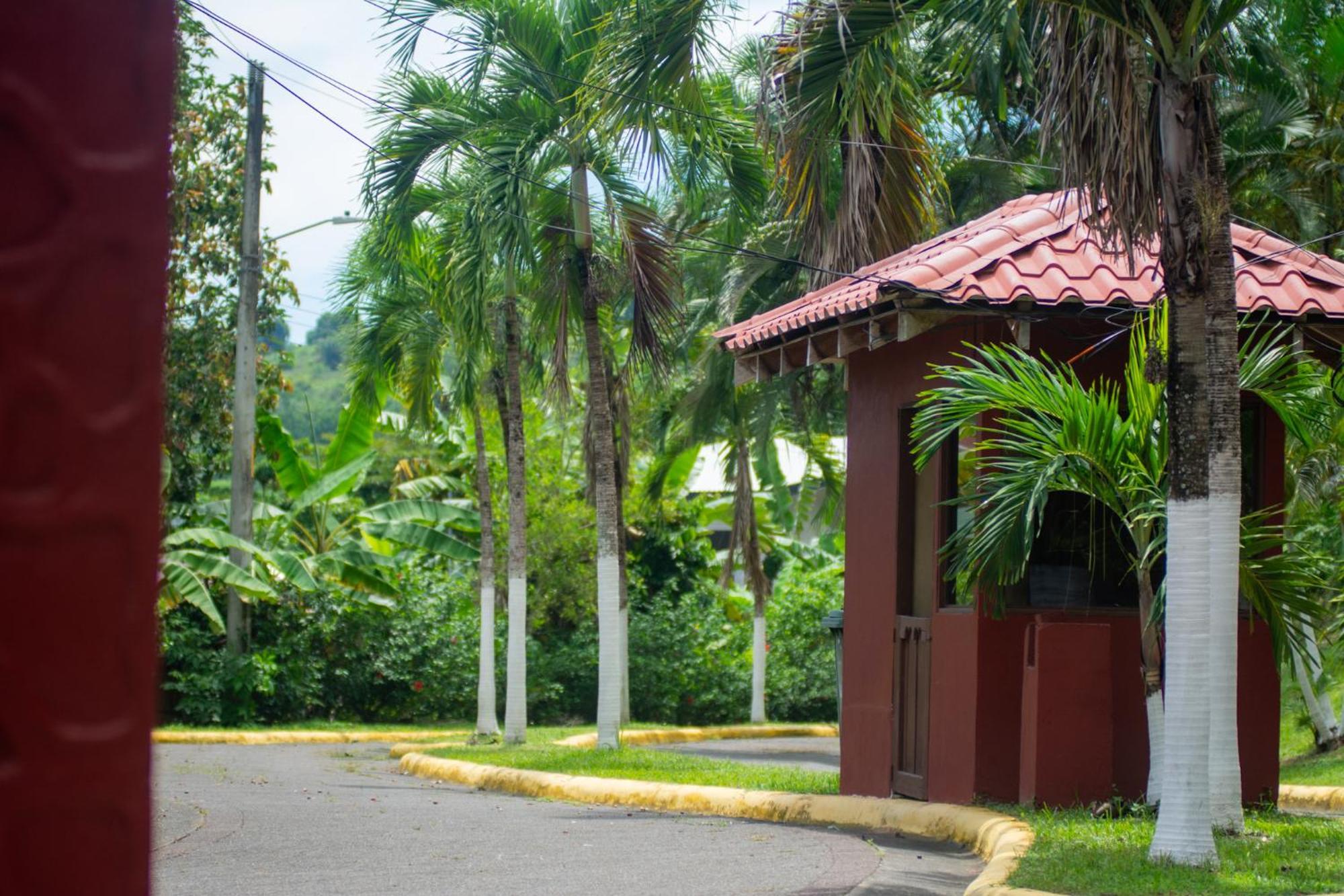 Selva Color - Forest & Beach Ecolodge Quebrada Ganado Екстер'єр фото