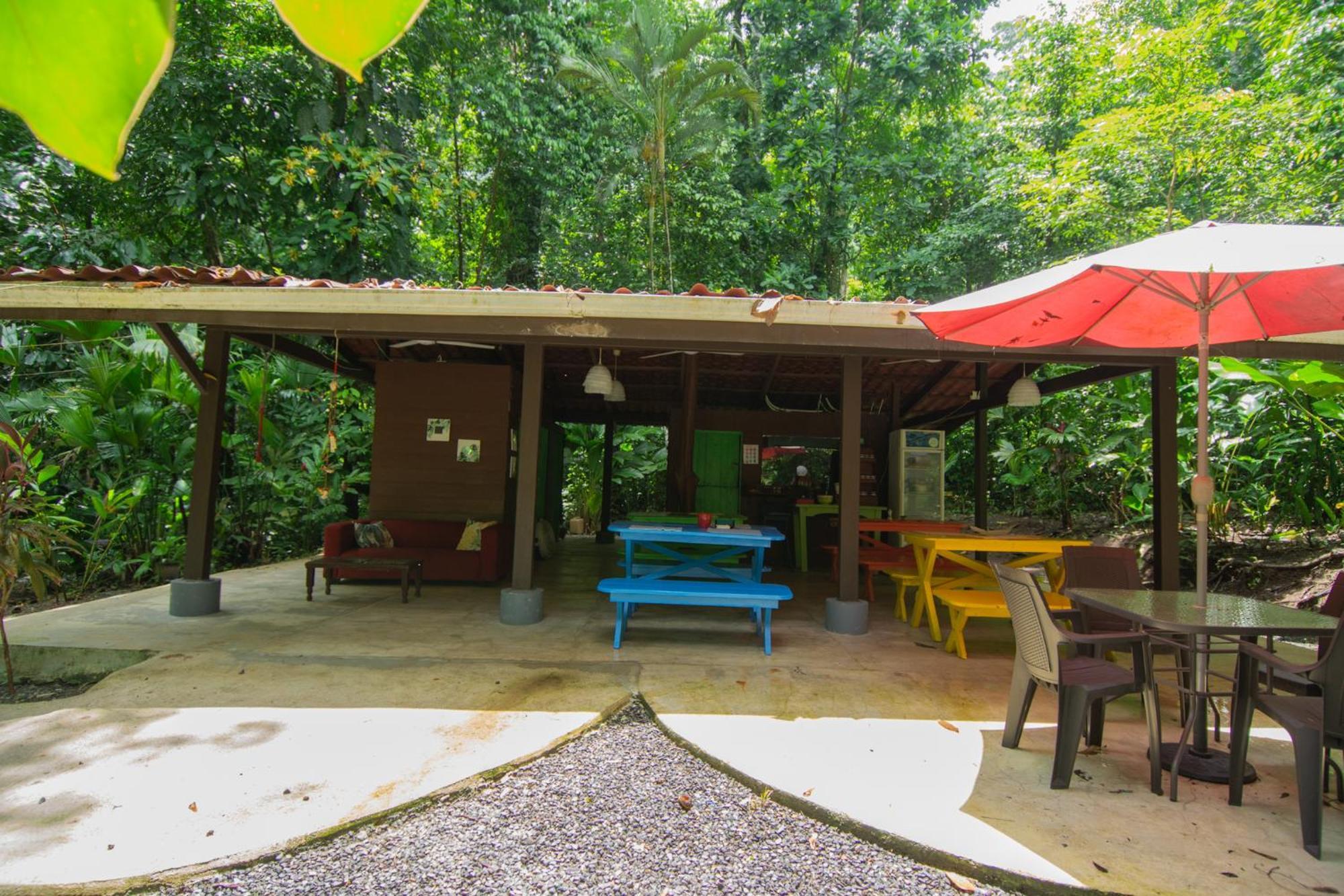Selva Color - Forest & Beach Ecolodge Quebrada Ganado Екстер'єр фото