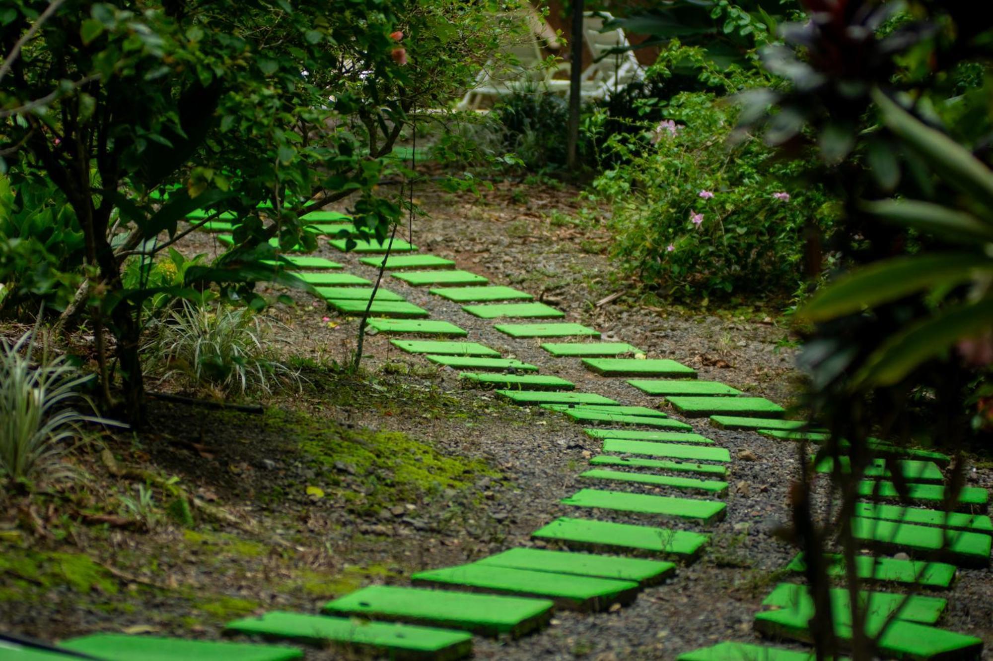Selva Color - Forest & Beach Ecolodge Quebrada Ganado Екстер'єр фото