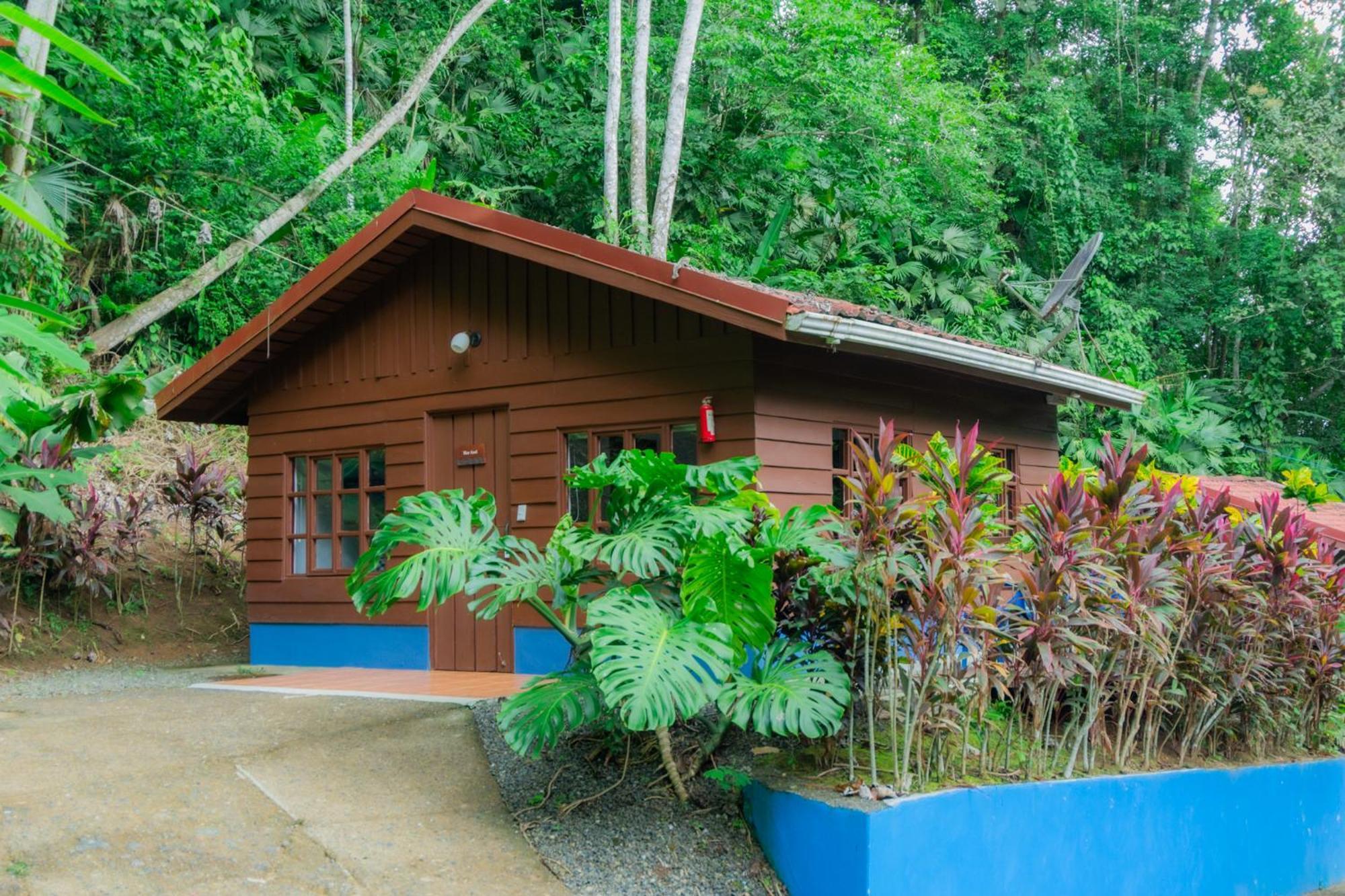 Selva Color - Forest & Beach Ecolodge Quebrada Ganado Екстер'єр фото
