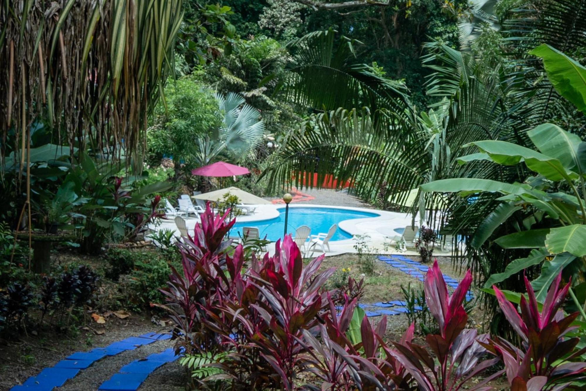 Selva Color - Forest & Beach Ecolodge Quebrada Ganado Екстер'єр фото