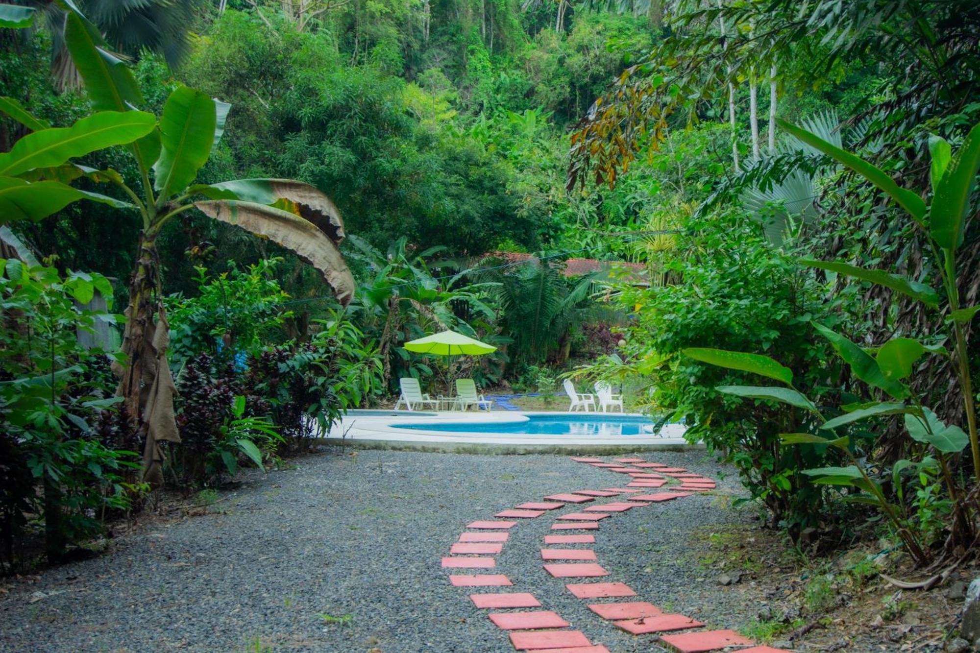 Selva Color - Forest & Beach Ecolodge Quebrada Ganado Екстер'єр фото