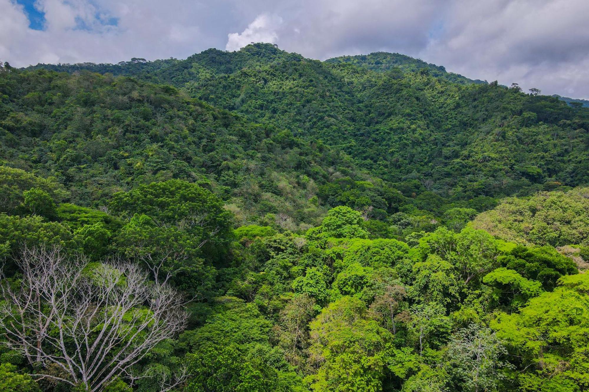 Selva Color - Forest & Beach Ecolodge Quebrada Ganado Екстер'єр фото