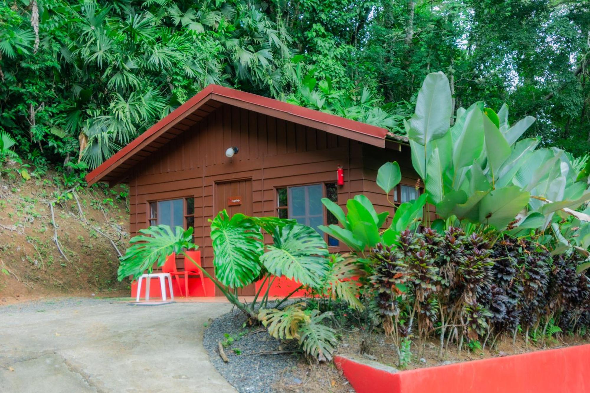Selva Color - Forest & Beach Ecolodge Quebrada Ganado Екстер'єр фото