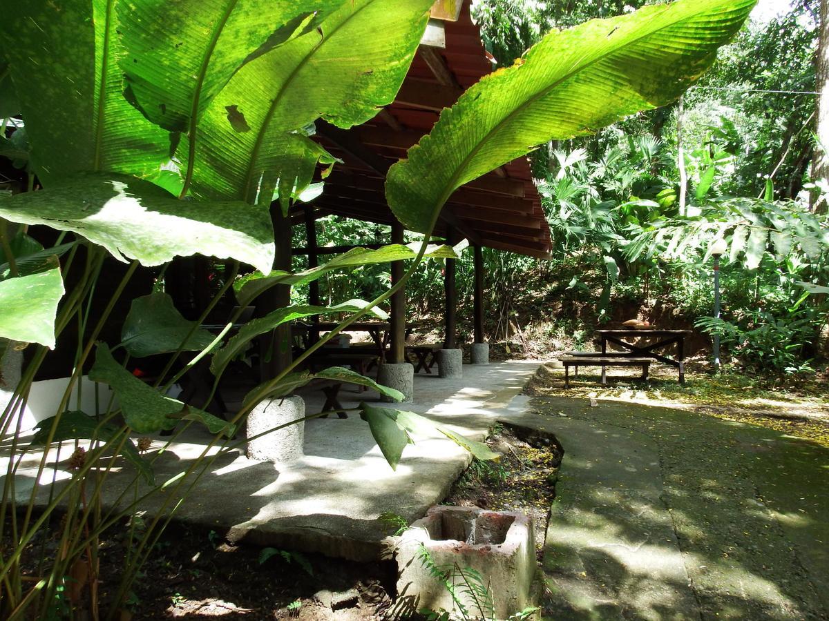 Selva Color - Forest & Beach Ecolodge Quebrada Ganado Екстер'єр фото