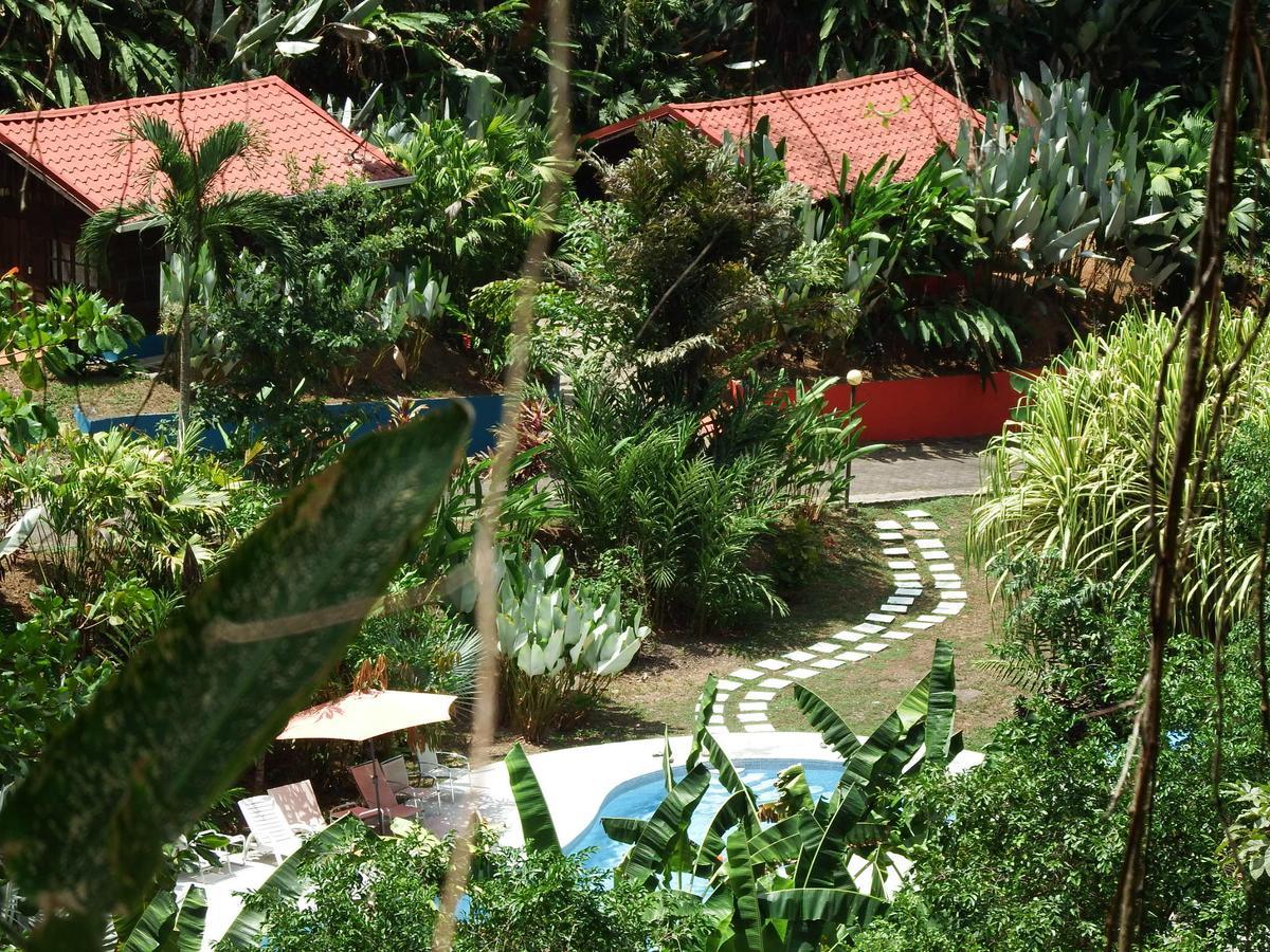 Selva Color - Forest & Beach Ecolodge Quebrada Ganado Екстер'єр фото