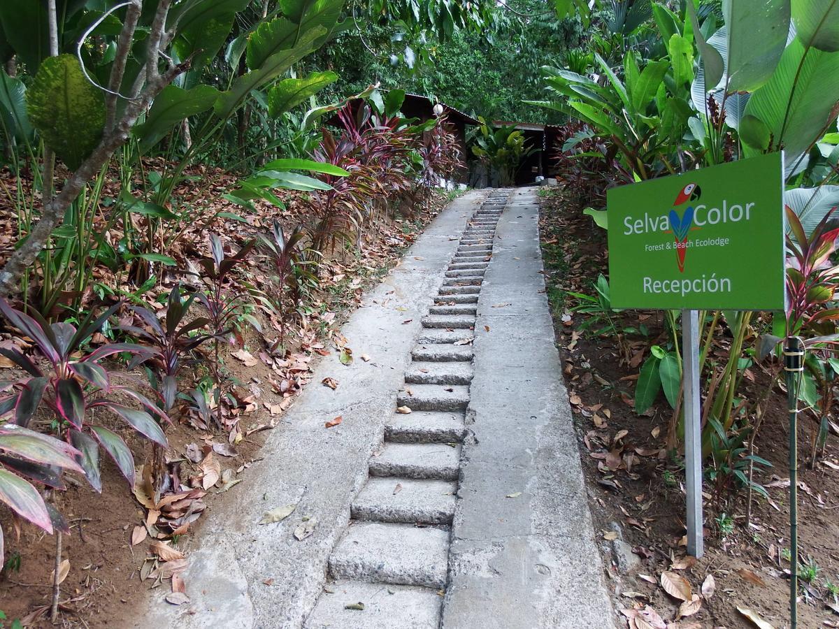 Selva Color - Forest & Beach Ecolodge Quebrada Ganado Екстер'єр фото