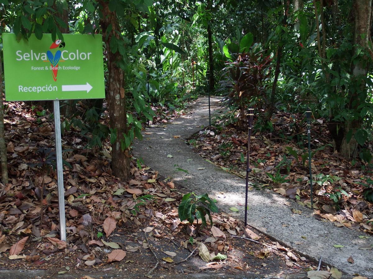 Selva Color - Forest & Beach Ecolodge Quebrada Ganado Екстер'єр фото