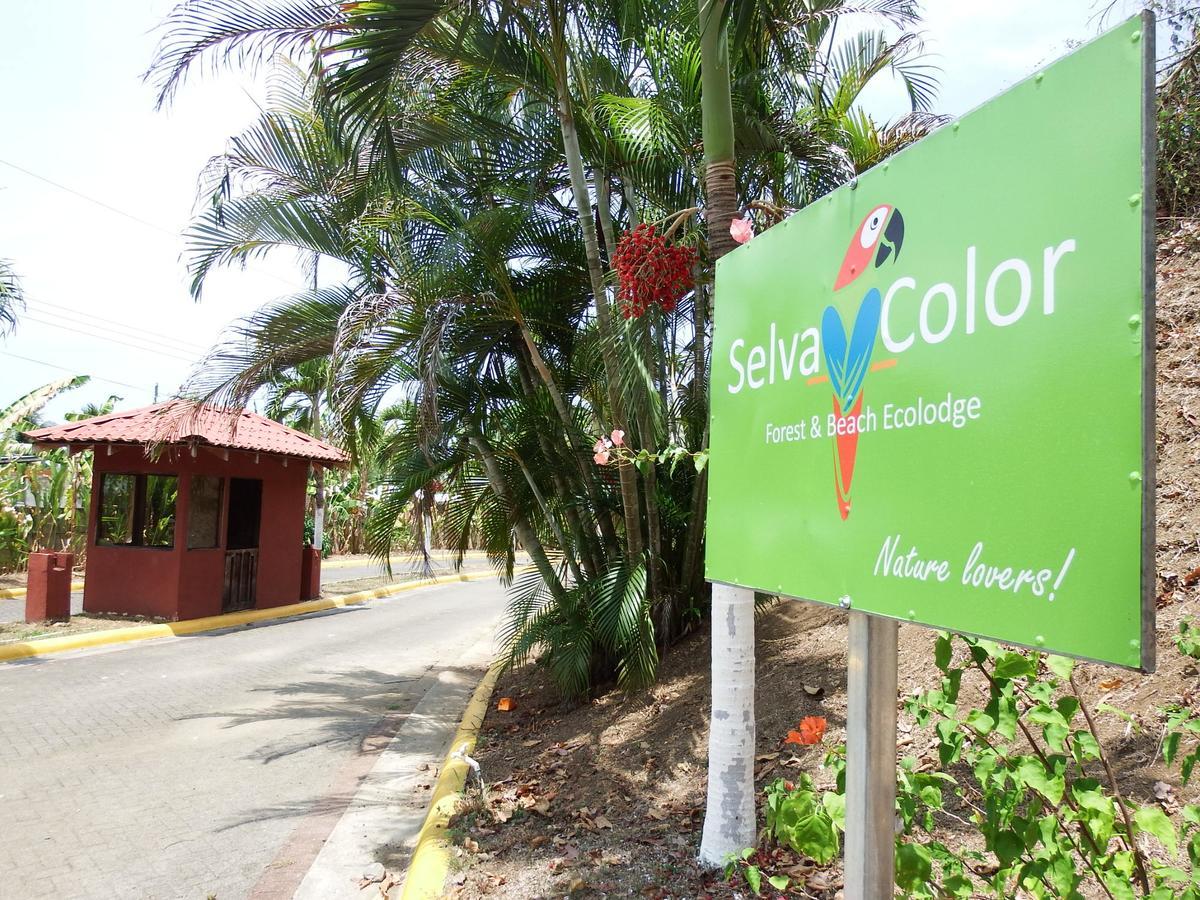 Selva Color - Forest & Beach Ecolodge Quebrada Ganado Екстер'єр фото